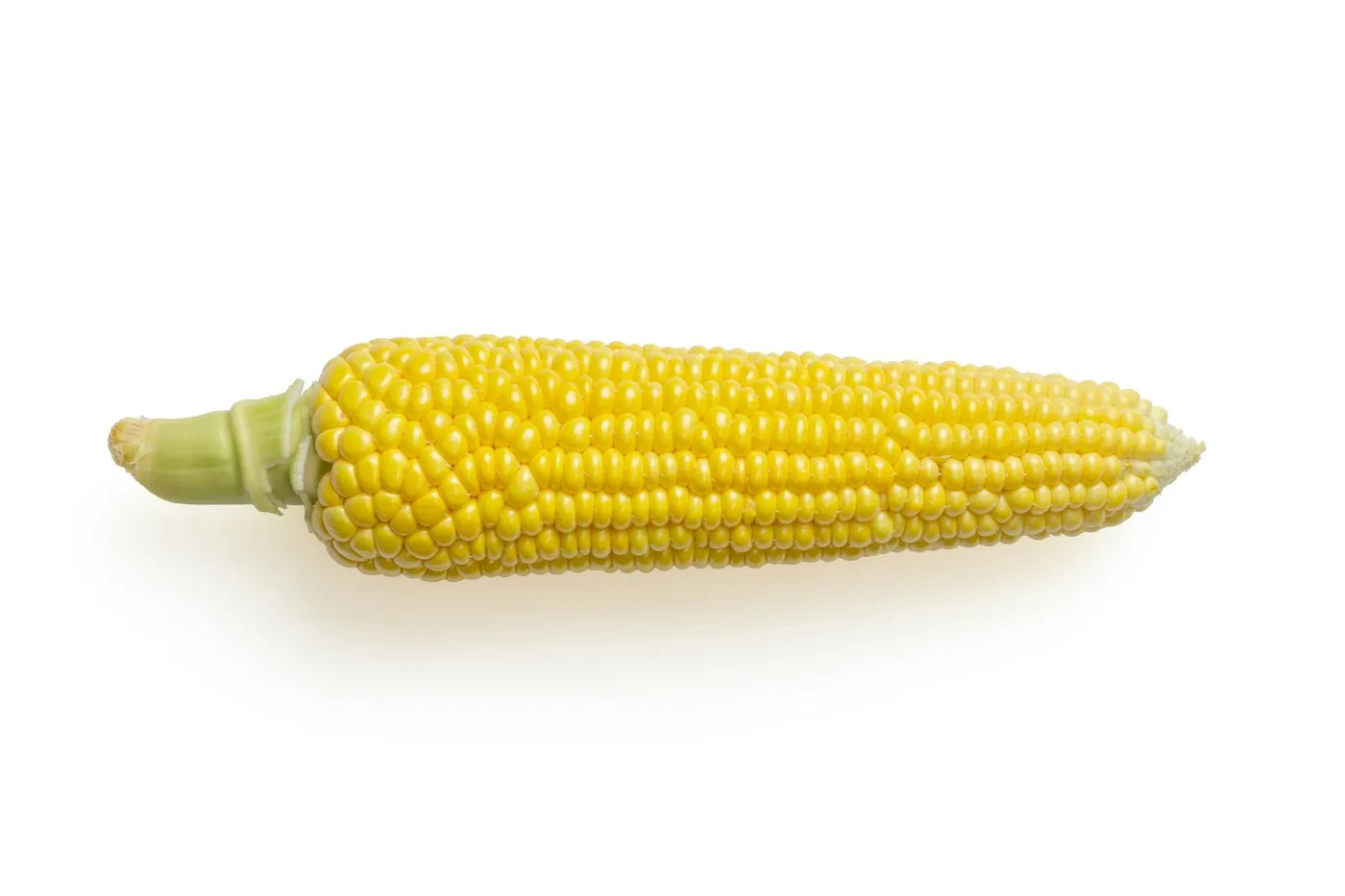 Sweet Corn