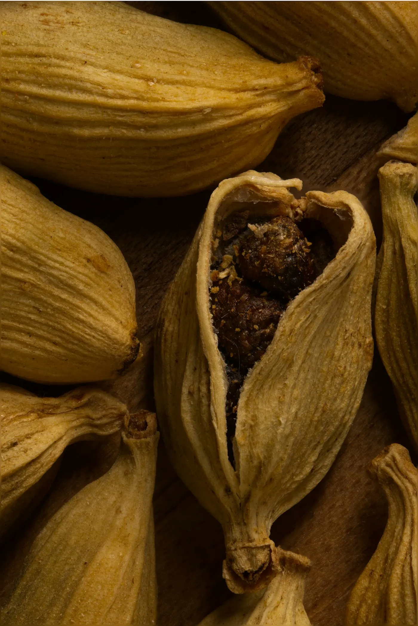 Java Cardamom