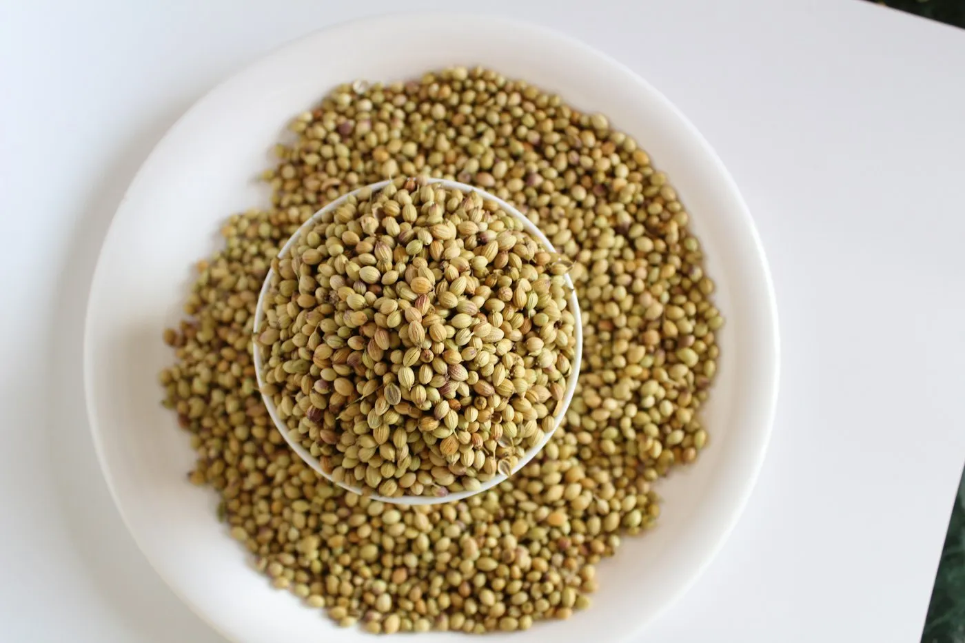 Coriander Seed
