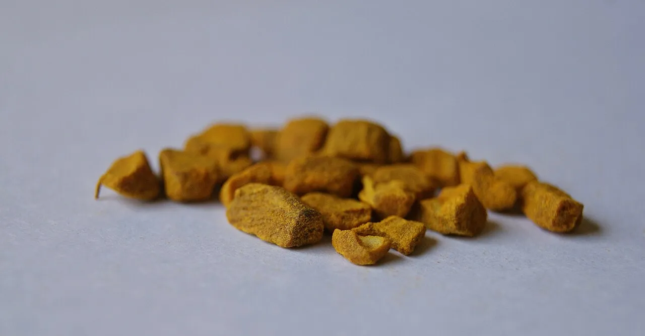 Java turmeric (temulawak)